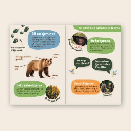 Lær om bjørn - 3 nivådelte e-bøker (digitale filer/PDF)