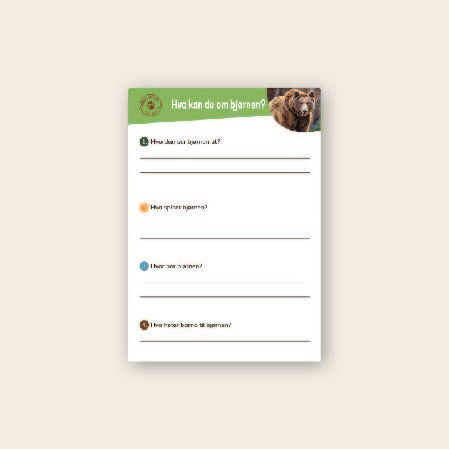 Lær om bjørn - 3 nivådelte e-bøker (digitale filer/PDF)