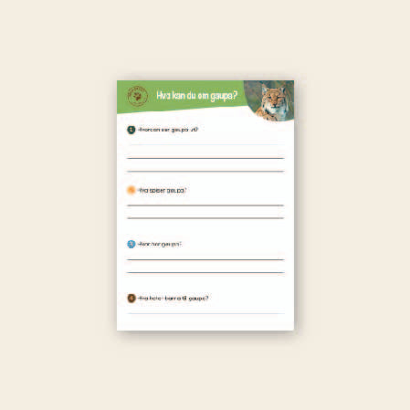 Lær om gaupe - 3 nivådelte e-bøker (digitale filer/PDF)