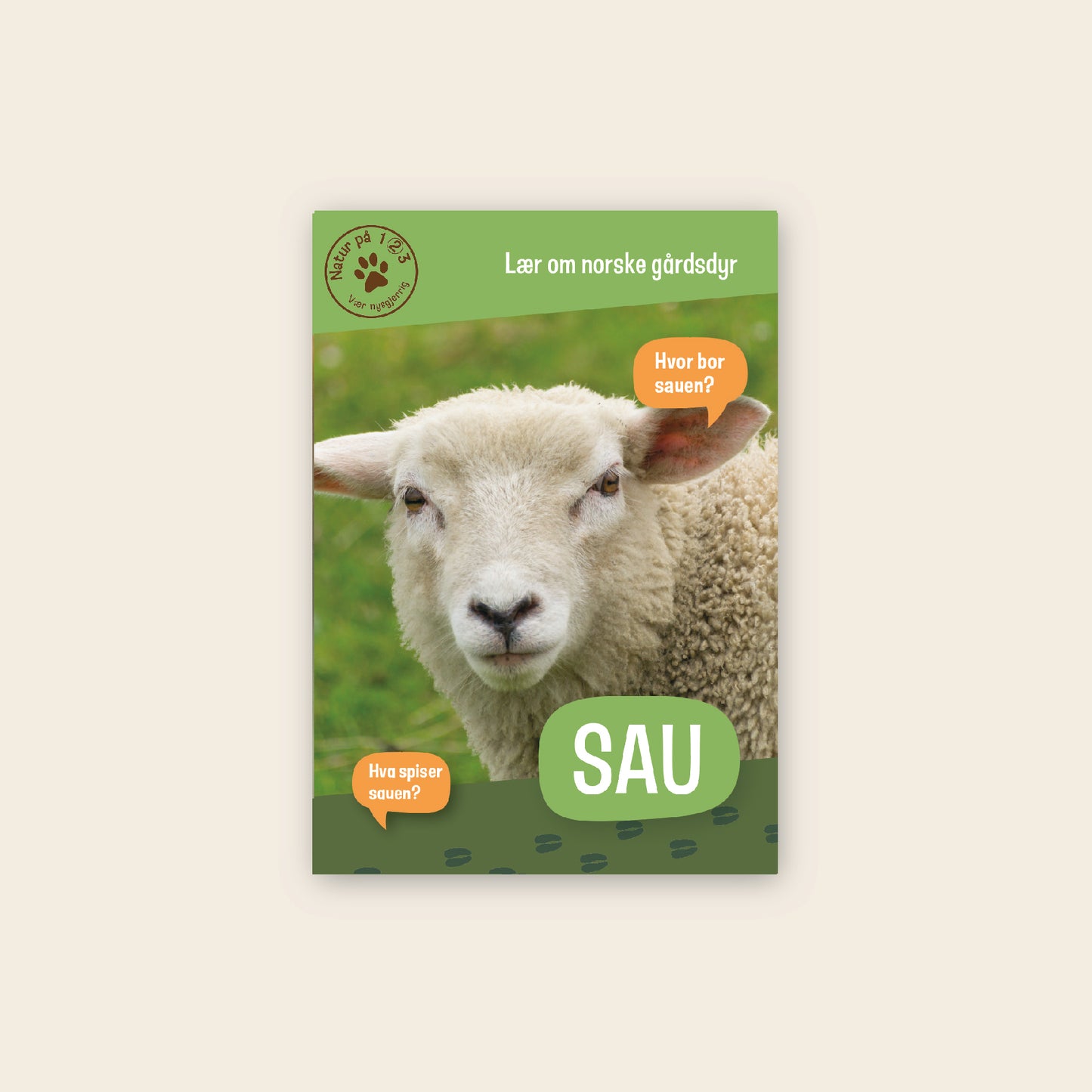 Lær om sau - 3 nivådelte e-bøker (digitale filer/PDF)