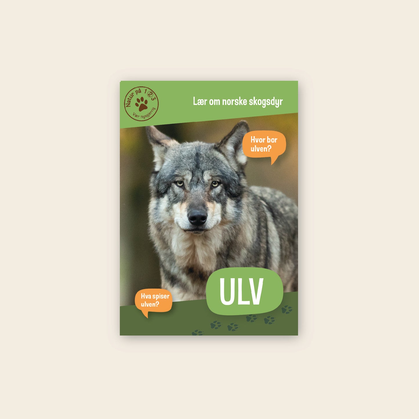 Lær om ulv - 3 nivådelte e-bøker (digitale filer/PDF)