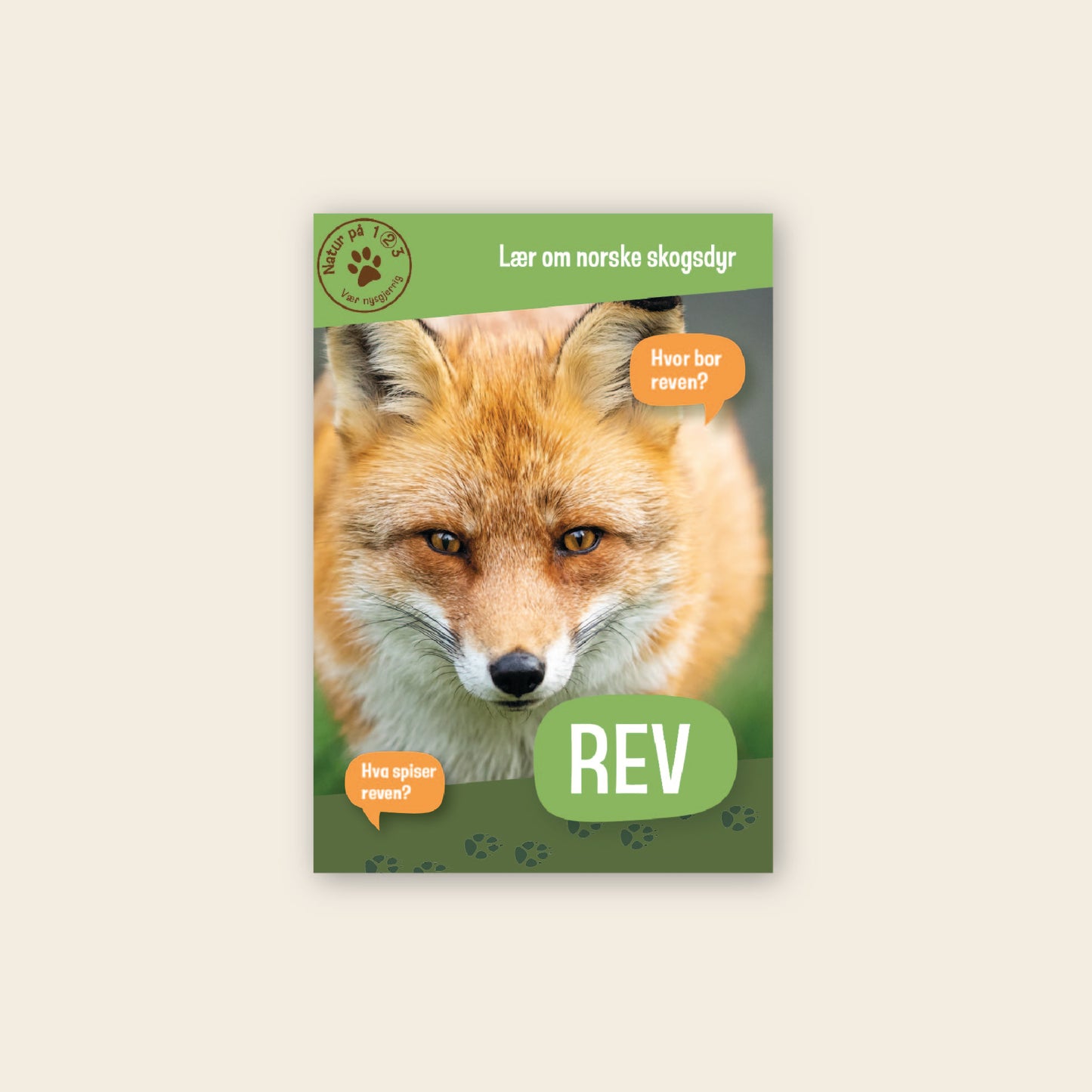 GRATIS Lær om rev - 3 nivådelte bøker (digital fil/PDF)