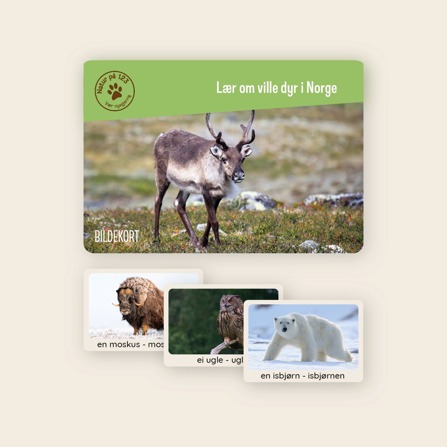 Bildekort - lær om ville dyr i Norge (digital fil/PDF)