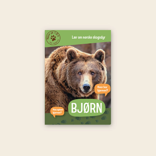 Lær om bjørn - 3 nivådelte e-bøker (digitale filer/PDF)