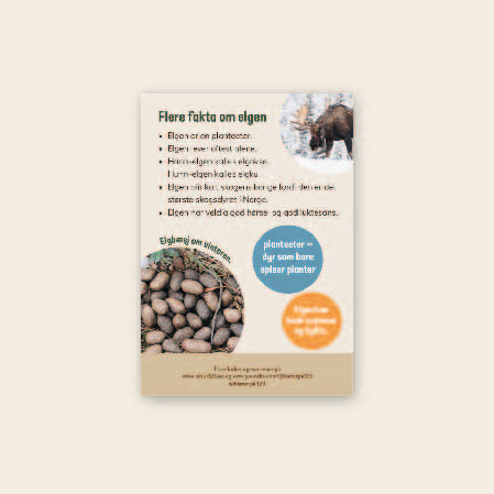 Lær om elg - 3 nivådelte e-bøker (digitale filer/PDF)