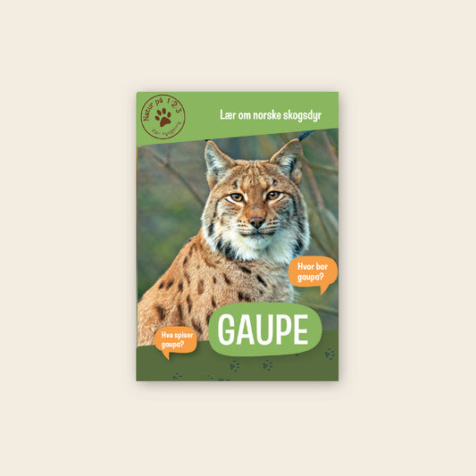 Lær om gaupe - 3 nivådelte e-bøker (digitale filer/PDF)