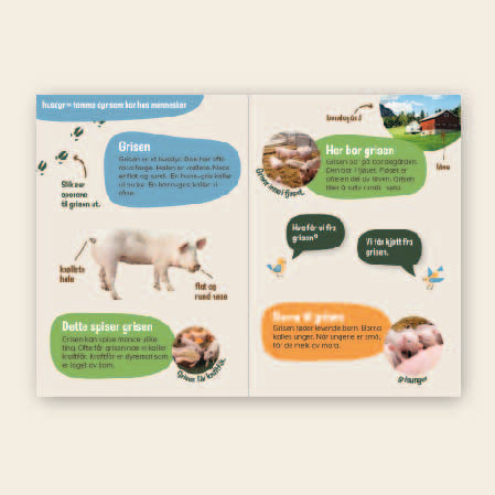 Lær om gris - 3 nivådelte e-bøker (digitale filer/PDF)