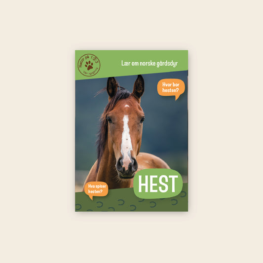 Lær om hest - 3 nivådelte e-bøker (digitale filer/PDF)