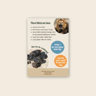 Begrenset tilbud: Lær om løve - 3 nivådelte bøker (digital fil/PDF)