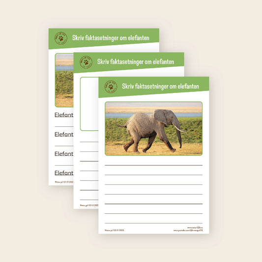 GRATIS Lær om ville dyr - skriv faktasetninger 1 (digital fil/PDF)
