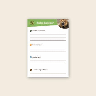 Begrenset tilbud: Lær om løve - 3 nivådelte bøker (digital fil/PDF)