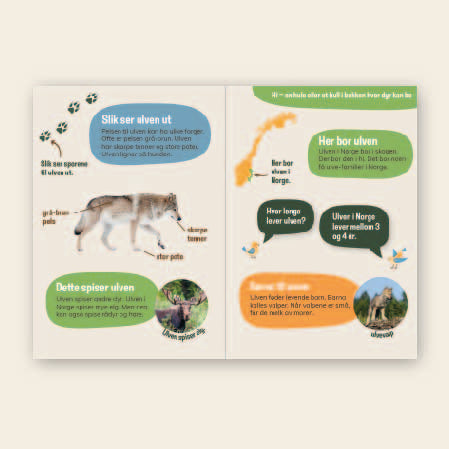 Lær om ulv - 3 nivådelte  e-bøker (digitale filer/PDF)
