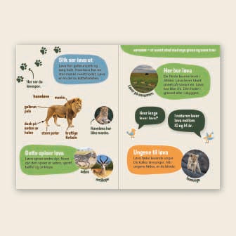 Begrenset tilbud: Lær om løve - 3 nivådelte bøker (digital fil/PDF)